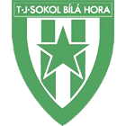 Tj Sokol Bílá Hora logo